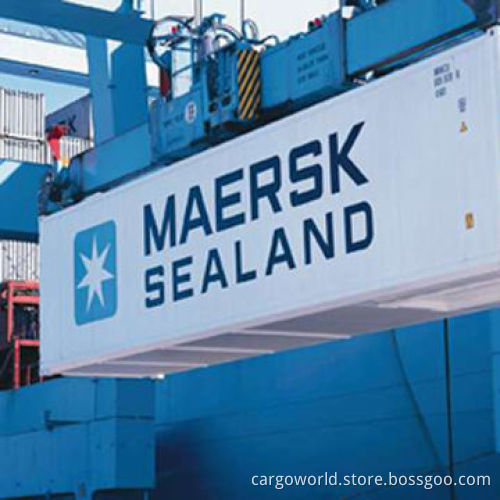 Container with Customs Clearance